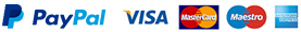PayPal VISA      MasterCard